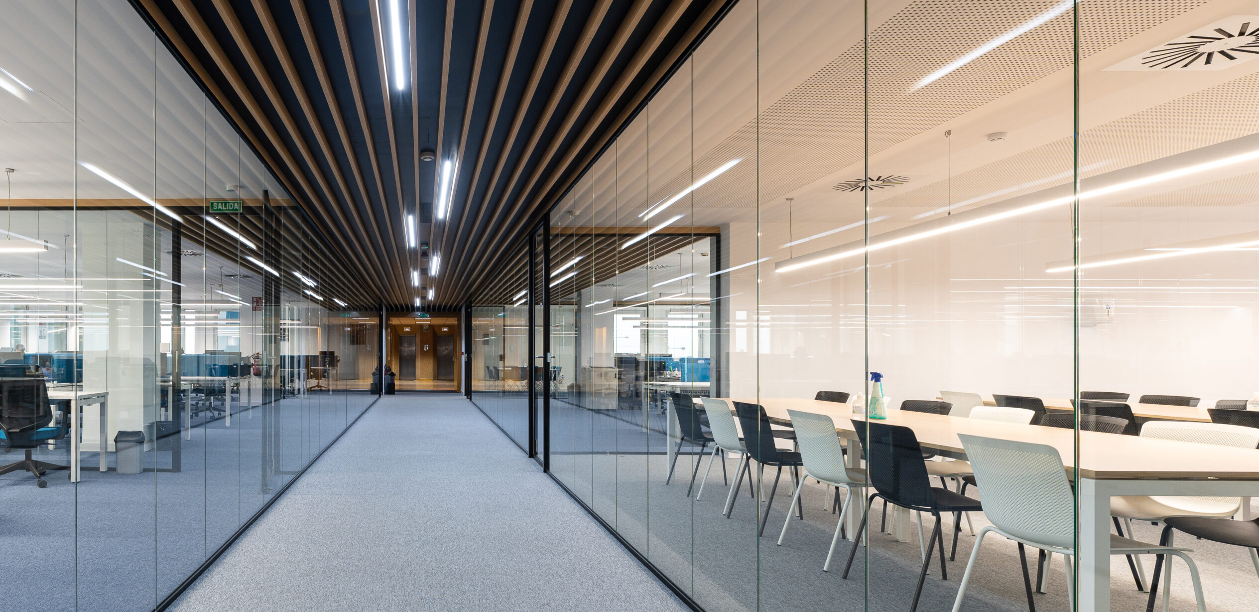 Selectra Forma 5 (24)